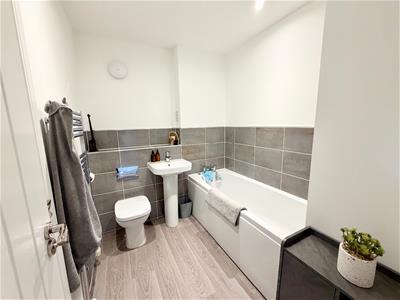 Picture 12